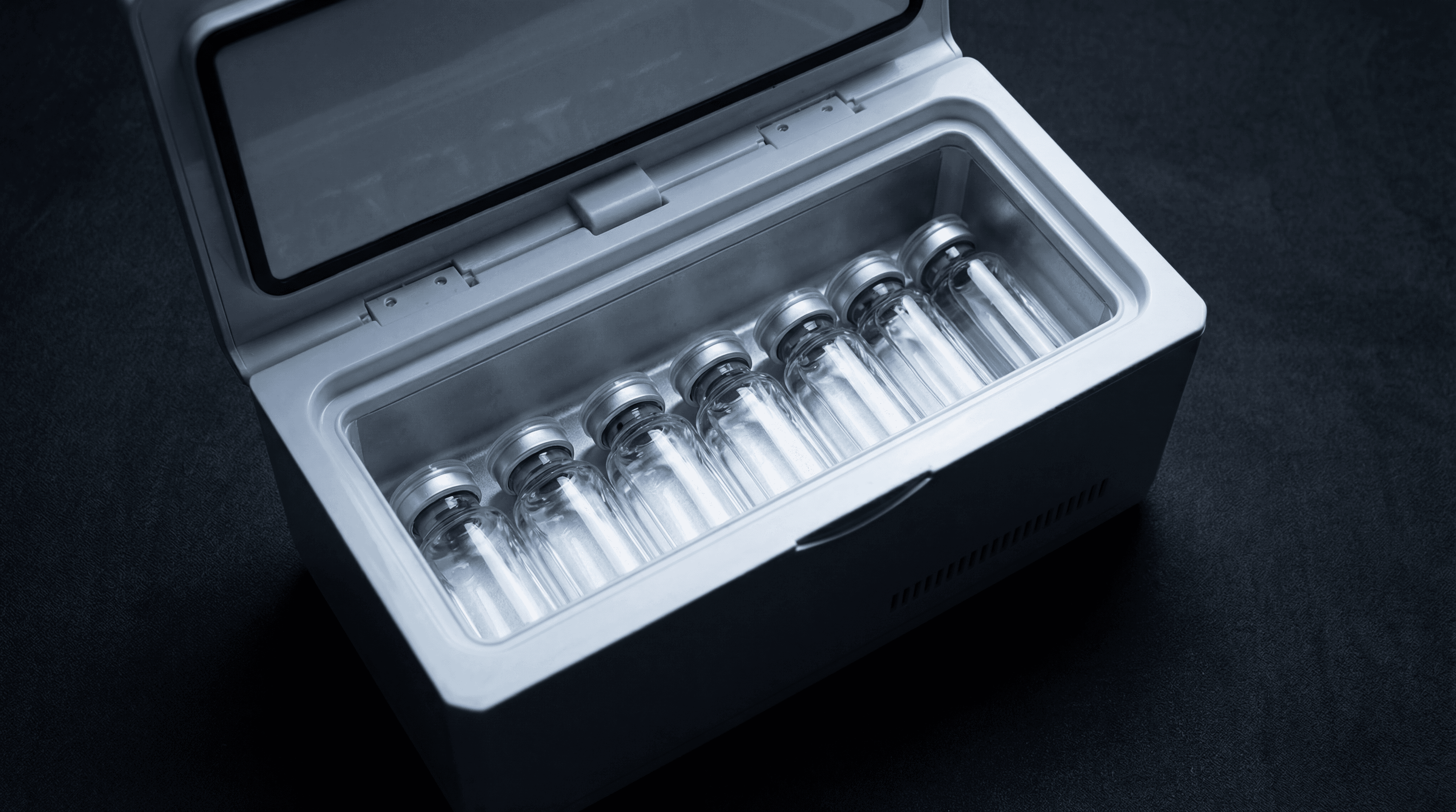 DB90 Mini Storage Cooler